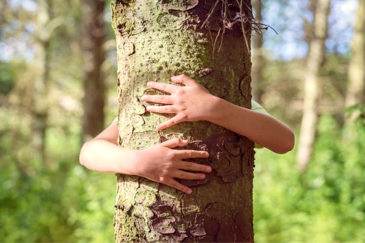 Little Boy Hugs Tree